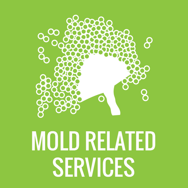 Mold Related Services